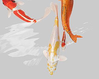 天命玄鸟工作室游戏新作《代号：骤影》4分钟实机 发售日待定